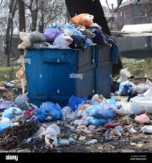Best Yard Waste Removal  in Locust Grove, OK