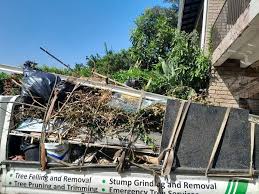 Best Property Management Cleanouts  in Locust Grove, OK